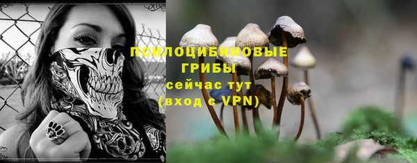 ALPHA PVP Богородицк