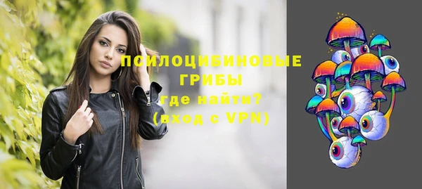 ALPHA PVP Богородицк