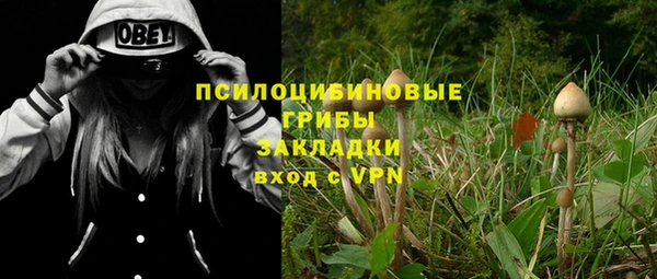 ALPHA PVP Богородицк
