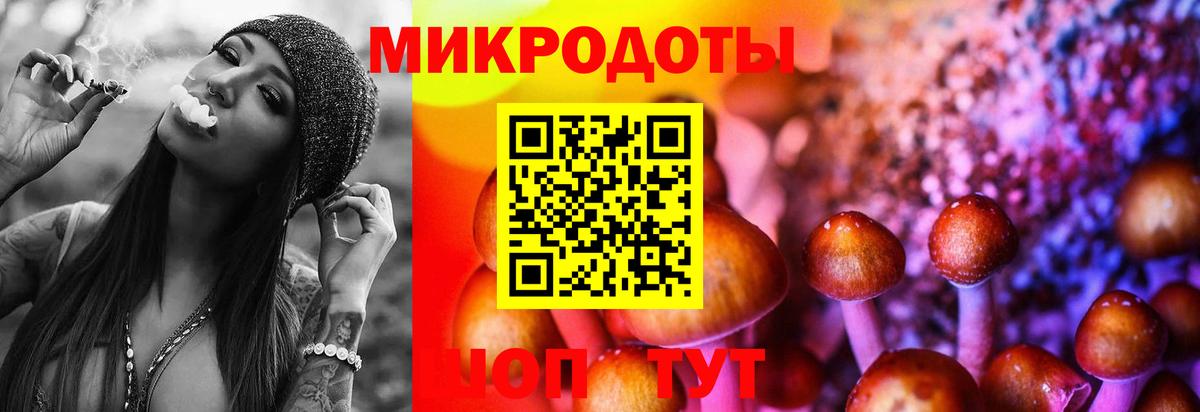 Галлюциногенные грибы Cubensis  Вход с VPN  Ноябрьск 
